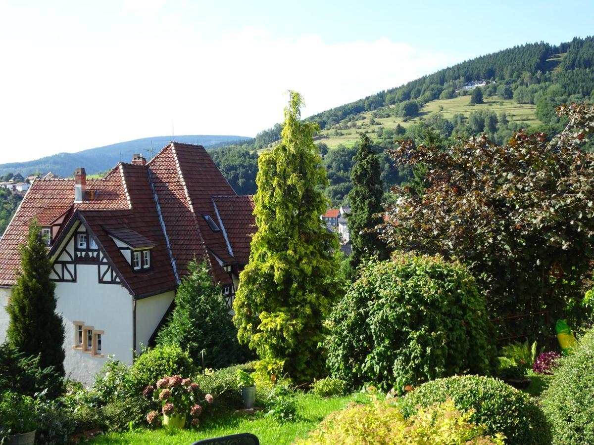 Ferienwohnung Panorama Rauenstein المظهر الخارجي الصورة