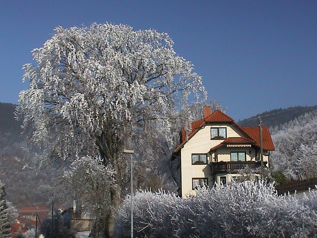 Ferienwohnung Panorama Rauenstein المظهر الخارجي الصورة