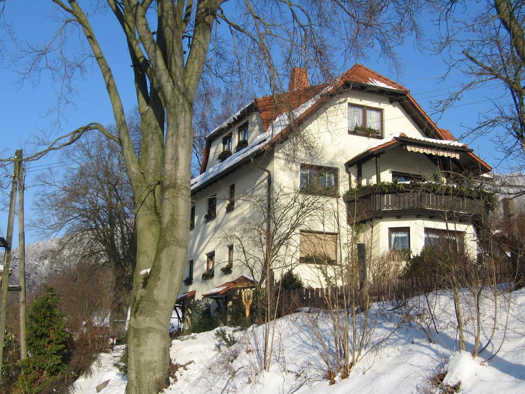 Ferienwohnung Panorama Rauenstein المظهر الخارجي الصورة