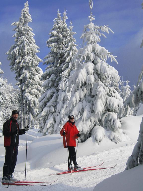 Ferienwohnung Panorama Rauenstein المظهر الخارجي الصورة