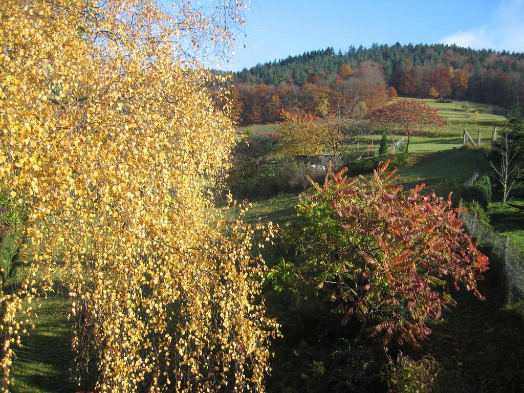 Ferienwohnung Panorama Rauenstein المظهر الخارجي الصورة