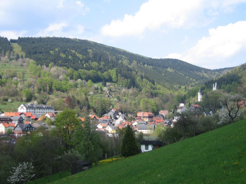 Ferienwohnung Panorama Rauenstein المظهر الخارجي الصورة