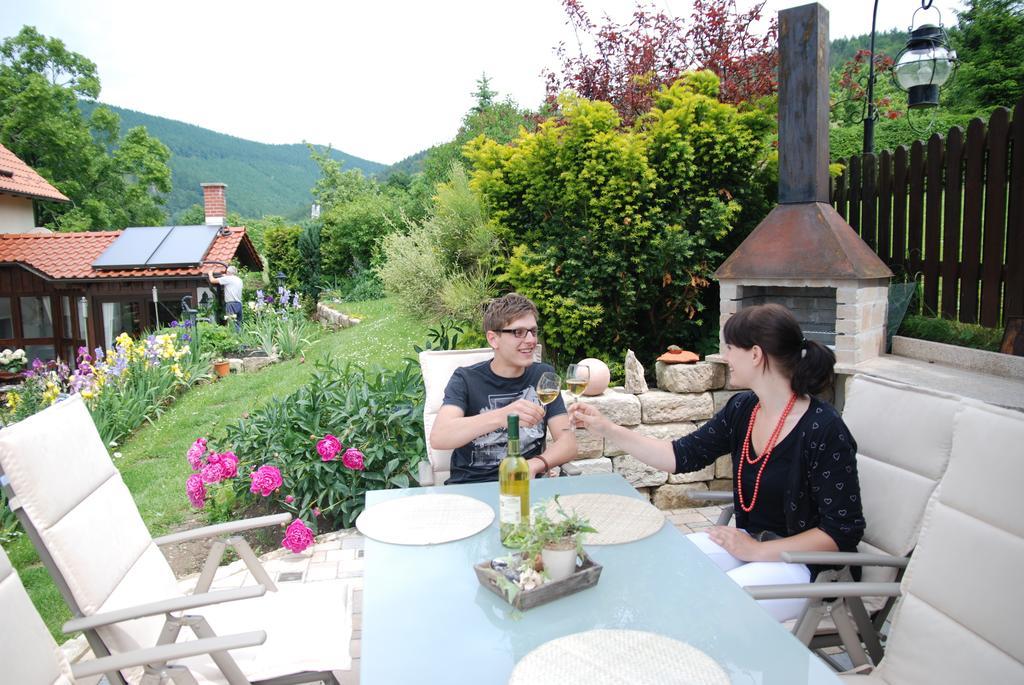 Ferienwohnung Panorama Rauenstein المظهر الخارجي الصورة