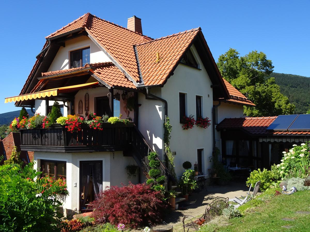 Ferienwohnung Panorama Rauenstein المظهر الخارجي الصورة