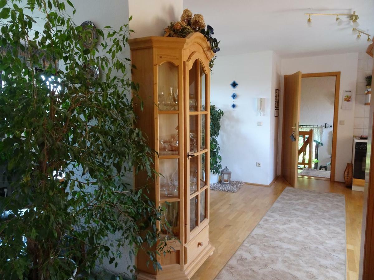 Ferienwohnung Panorama Rauenstein المظهر الخارجي الصورة